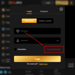 Access the 9AJILI login page